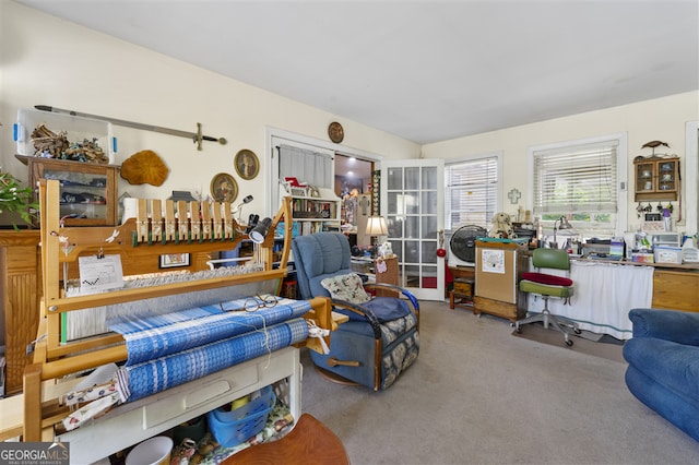 4720 Bill Cheek Rd, Auburn, GA 30011 - view of carpeted living room
