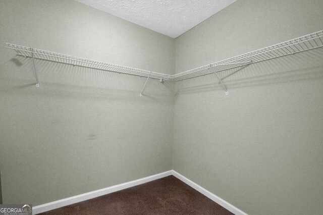 6345 Aarons Way, Flowery Branch, GA 30542 - spacious closet with dark carpet