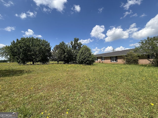 view of green lawn