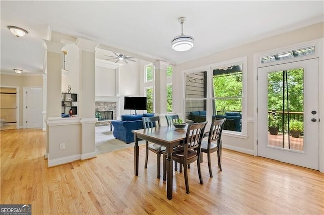 dining room with a fireplace, light wood-style flooring, ceiling fan, and crown molding