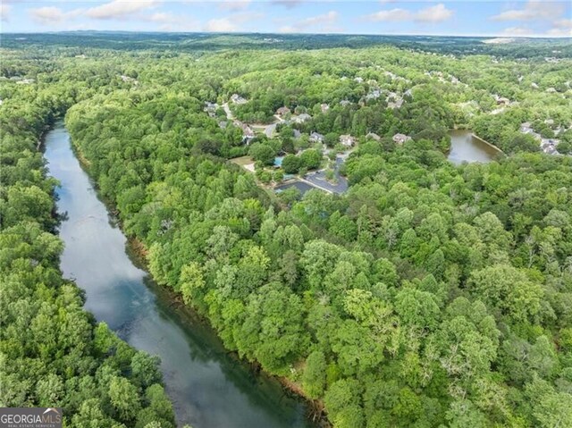 bird's eye view of a forest and a large body of water