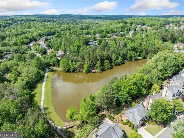 aerial perspective of suburban area with a forest and a large body of water