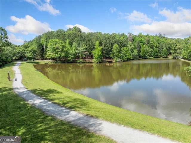 water view with a heavily wooded area