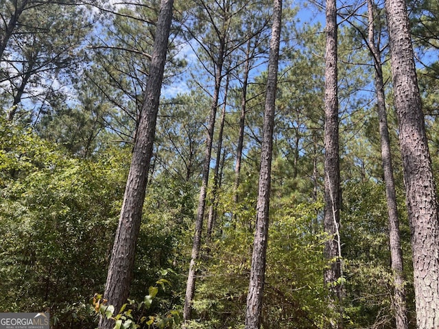 0 Charles Reeves Rd, Roberta, GA 31078
