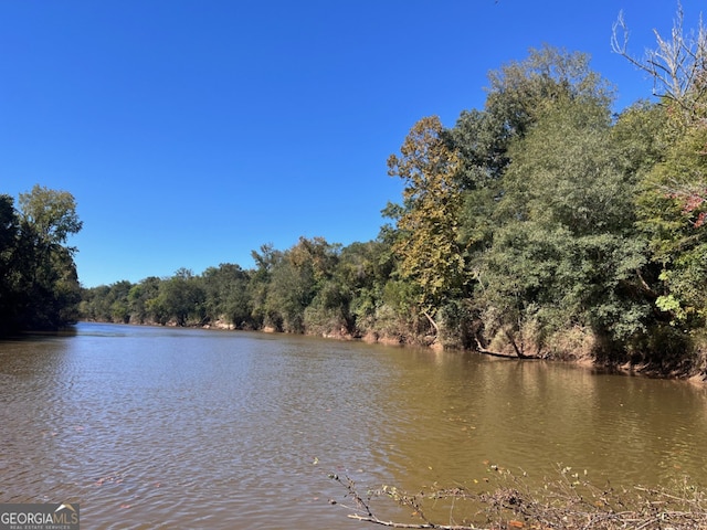 0 Charles Reeves Rd, Roberta, GA 31078