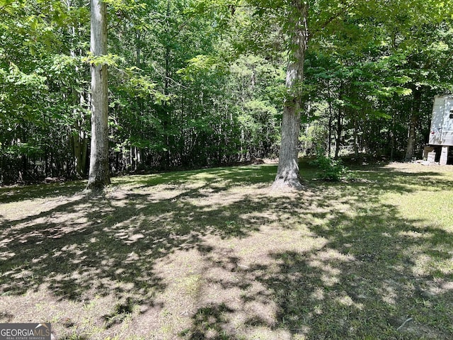 view of yard with a wooded view