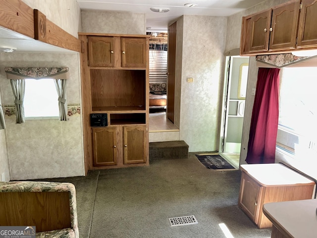 mudroom featuring carpet