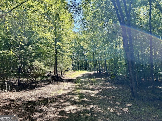 view of local wilderness featuring a forest view