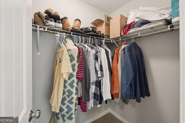 spacious closet with carpet