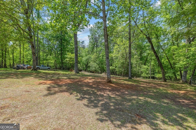 303 Jennys Cove Rd, Cleveland, GA 30528 - view of yard featuring a view of trees