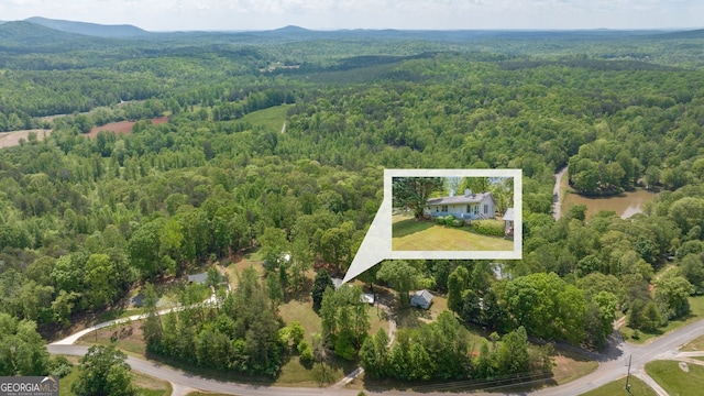 303 Jennys Cove Rd, Cleveland, GA 30528 - aerial view featuring a view of trees