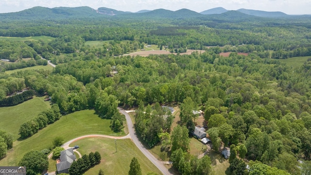 303 Jennys Cove Rd, Cleveland, GA 30528 - drone / aerial view featuring a mountain view and a view of trees