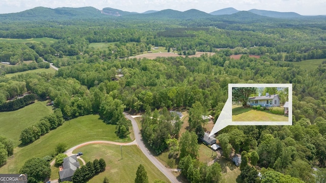 303 Jennys Cove Rd, Cleveland, GA 30528 - drone / aerial view with a wooded view and a mountain view