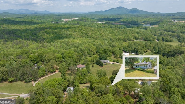 303 Jennys Cove Rd, Cleveland, GA 30528 - bird's eye view with a view of trees and a mountain view