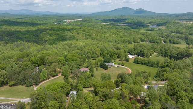 303 Jennys Cove Rd, Cleveland, GA 30528 - drone / aerial view featuring a mountain view and a view of trees