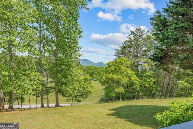 303 Jennys Cove Rd, Cleveland, GA 30528 - surrounding community featuring a yard and a mountain view