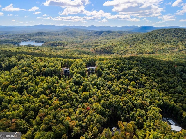 714 Scouts Overlook, Morganton, GA 30560 - bird's eye view with a mountain view and a view of trees