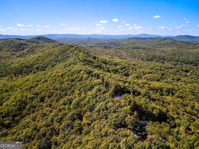 714 Scouts Overlook, Morganton, GA 30560 - drone / aerial view featuring a mountain view and a view of trees