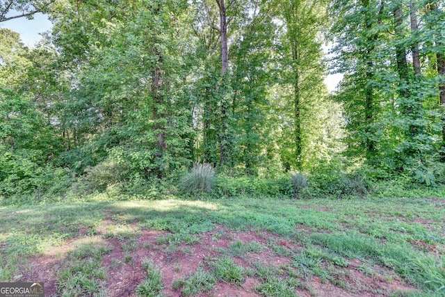 view of tree filled area