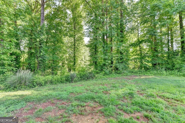 view of tree filled area