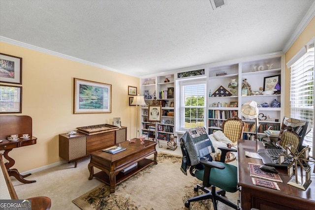 540 Commanche Dr, Macon, GA 31210 - office space with carpet flooring, ornamental molding, and a textured ceiling