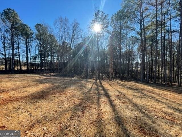 338 Grady St, Waleska, GA 30183 - view of grassy yard