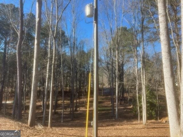 338 Grady St, Waleska, GA 30183 - view of local wilderness