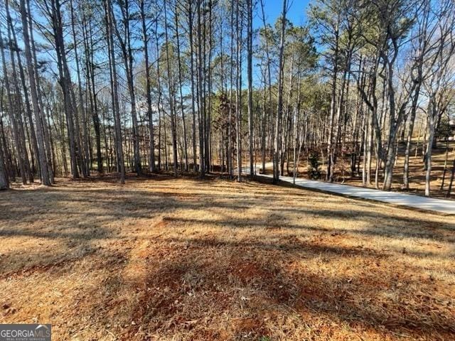 338 Grady St, Waleska, GA 30183 - view of yard featuring a view of trees