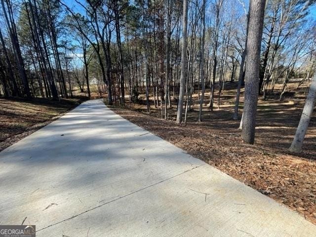 338 Grady St, Waleska, GA 30183 - view of community