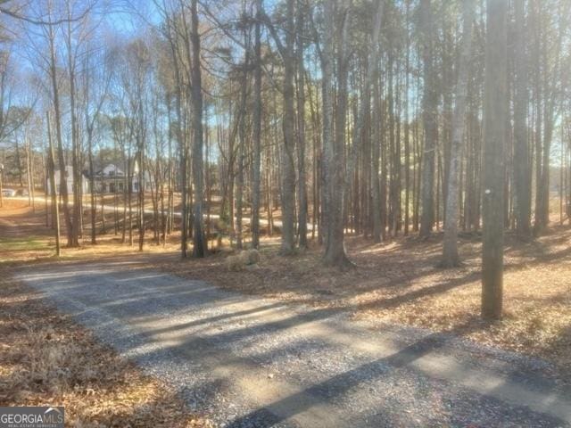 338 Grady St, Waleska, GA 30183 - view of street