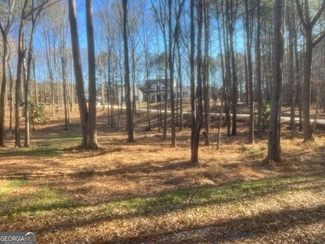 338 Grady St, Waleska, GA 30183 - view of undeveloped land