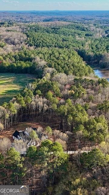 338 Grady St, Waleska, GA 30183 - aerial view of property's location featuring a heavily wooded area and a large body of water