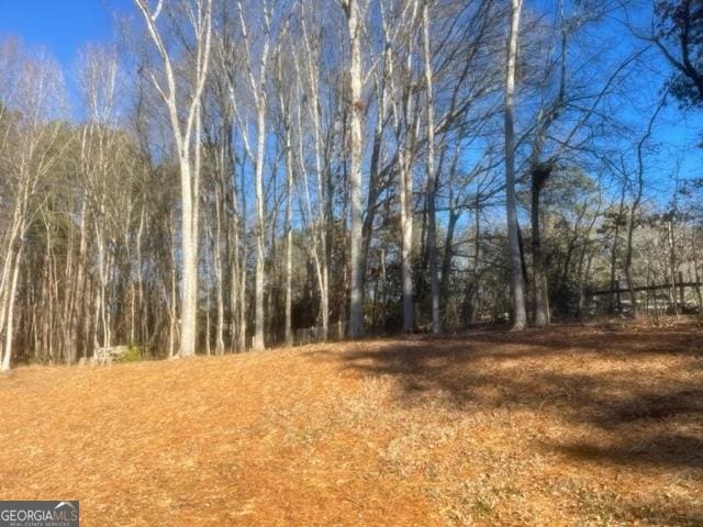 338 Grady St, Waleska, GA 30183 - view of wooded area