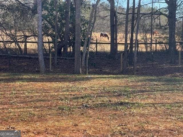 338 Grady St, Waleska, GA 30183 - view of yard