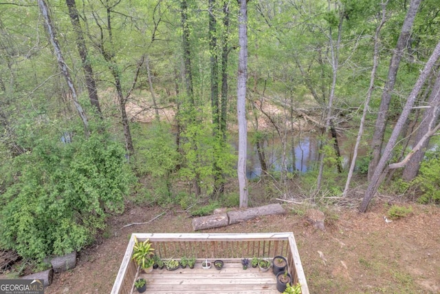 3819 Shane Ct, Ellenwood, GA 30294 - view of yard