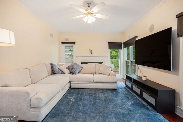 living room with dark wood-type flooring, a fireplace, a ceiling fan, and crown molding