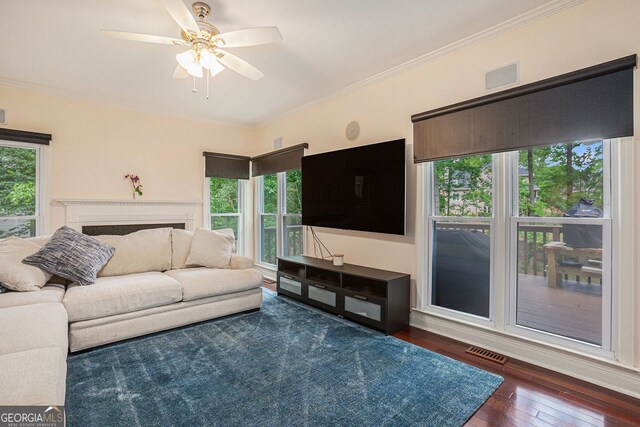 living area featuring hardwood / wood-style floors, ceiling fan, and ornamental molding