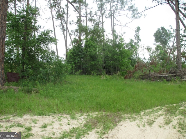 08600022T2 Redbird Rd, Lumber City, GA 31549