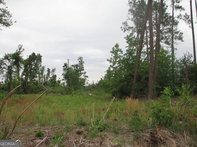 08600022T2 Redbird Rd, Lumber City, GA 31549