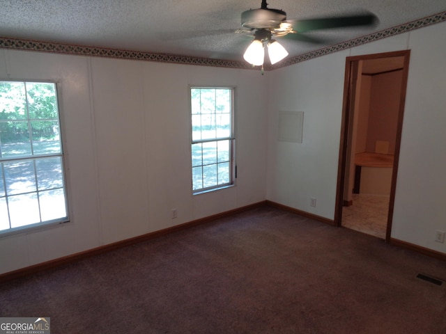 carpeted empty room featuring a textured ceiling, plenty of natural light, and visible vents
