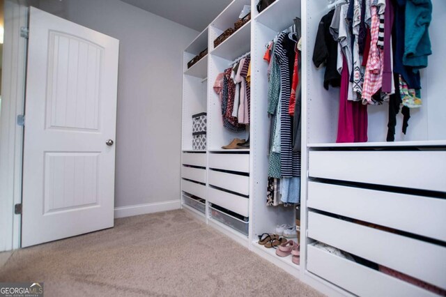 spacious closet featuring carpet flooring