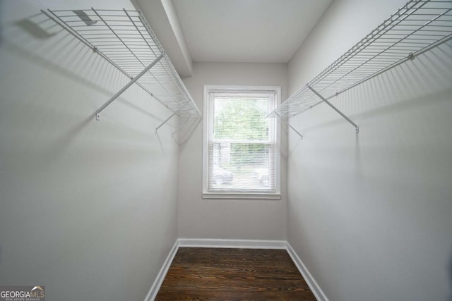 2137 Delowe Dr, Atlanta, GA 30344 - walk in closet with wood finished floors