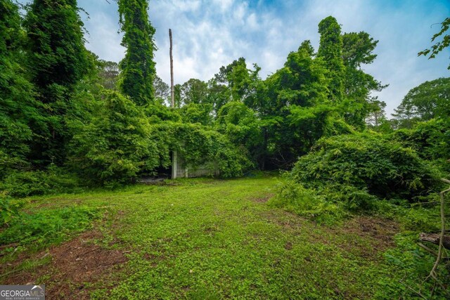 2137 Delowe Dr, Atlanta, GA 30344 - view of yard