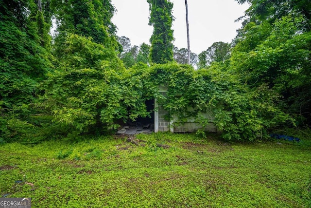 2137 Delowe Dr, Atlanta, GA 30344 - view of yard