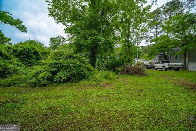 2137 Delowe Dr, Atlanta, GA 30344 - view of yard