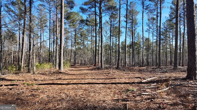 176 Social Circle Fairplay Rd, Social Circle, GA 30025