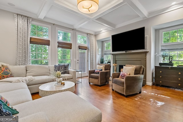 living area featuring coffered ceiling, wood finished floors, a healthy amount of sunlight, and a warm lit fireplace