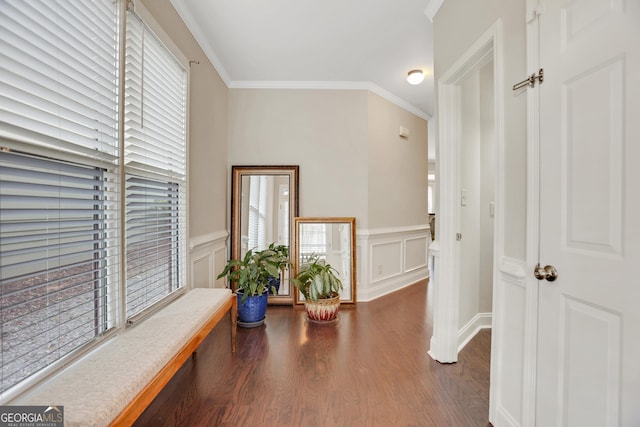 corridor with a decorative wall, a wainscoted wall, wood finished floors, and ornamental molding