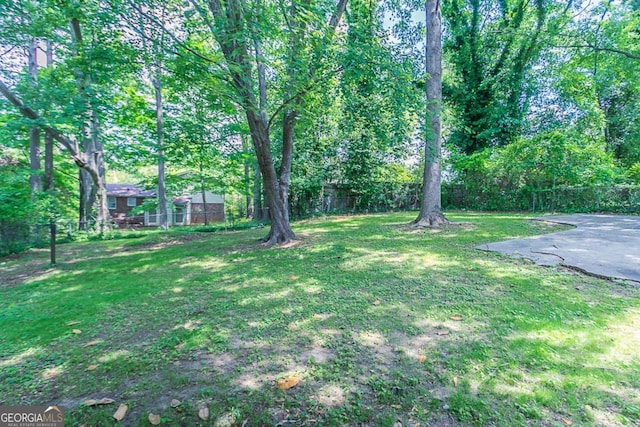 3938 Emerald Springs Ct, Decatur, GA 30035 - view of yard with fence