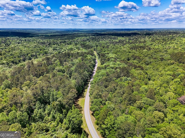 37.23ACRES/0 Smokey Rd, Lagrange, GA 30241